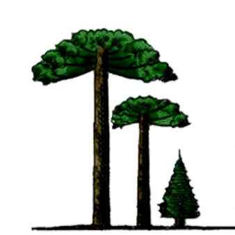 Interkraft logo Interkraft logo